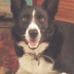 Barry Waldron - @barry.waldron.5 - Instagram