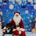 Barry Waldrop - @tidyhineypetgrooming - Instagram
