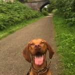 Barry Walker - @barrywalker1698 - Instagram
