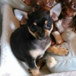 Barry Wallis-ginn - @barrywallisginn - Instagram