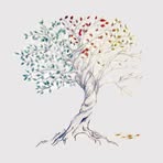 Barry Walls - Facebook