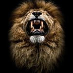 Barry Walter - @barrywalter98 - Instagram