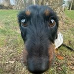 Bernard “barry” Walter - @barry.weekly - Instagram