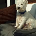 barry wareham - @barry.wareham - Instagram