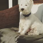 barry wareham - @barrywareham - Instagram