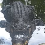 Barry Warerman - @barrywarerman - Instagram