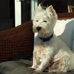 barrywareham - @barrywareham9 - Instagram