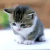 Barry Watters - @barrywatters657 - TikTok