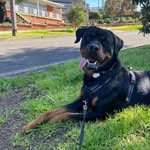 Barry Watterson - @watterson_barry62 - Instagram