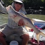 Barry Weaver - @barryweaver2 - Instagram