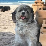 Barry Weems - @weemsbarry - Instagram
