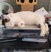 Barry M. Weiner - Facebook