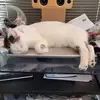barrymweiner - @barrymweiner - TikTok