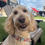 Melissa Barrington Westerfield - @barringtonwesterfield - Instagram