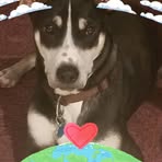 Barry Wetherell Sr. - Facebook