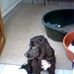 Barrie Wheatley - Facebook