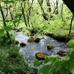 Barry Wheelock - @calmerbynature - Instagram