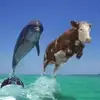 Benson - @big.bart.benson - TikTok