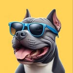 American Bully Bartholomew, o Bart! 💛 - @obartbully - Instagram