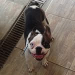 Bart Bull - @bull_bart - Instagram