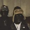 Bartbulla - @bartnvl - TikTok