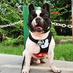 • Bart • - @bart_bullf - Instagram