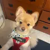 bartcarfizzi01 - @bartcarfizzi01 - TikTok