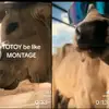 BART - @charles.bart6 - TikTok