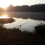 Bart Colson - @colsonbart - Instagram