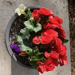 Barb Crockett Hinzpeter - @bhinzpeter - Instagram