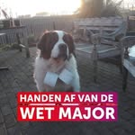 Bart De Vos - @devos482 - Instagram