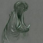 Bart Dirks - @bartdirks - Instagram