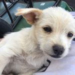 Bart Foster - @goyardcash - Instagram