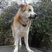 Bart Foster - Facebook