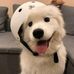 Bart Green - Facebook
