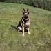 Bart Guyot - Facebook
