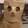 bartguy27 - @bartguy27 - TikTok