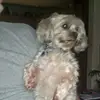barbhackett7 - @barbhackett7 - TikTok
