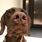 Bart Hahn - @fart_the_bart - Instagram