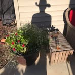 Bart Hahn - Facebook