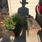 Bart Hahn - Facebook