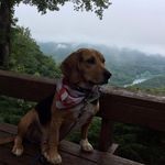Bart Hallum - @barthallum - Instagram