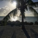 Bart Hampton - @barthampton - Instagram