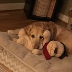 Barthart - @bigneckrec - Instagram