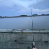 Henry Bartels - @henry.bartels6 - TikTok