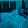 Henry Bartels - @henry.bartels5 - TikTok