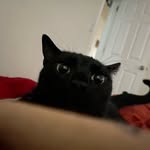 Bart Hensley - @mrbarthensley - Instagram