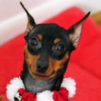 Nancy Bartlett-Hensley - Facebook