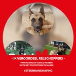 Bart Herman - @bart.herman.92 - Instagram