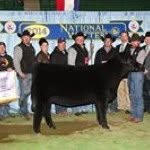 Bart Herndon Cattle - @bartherndoncattle - Instagram